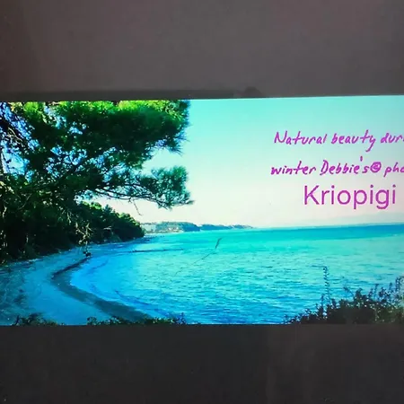 Sunset Bay With Free Private Parking Apartment